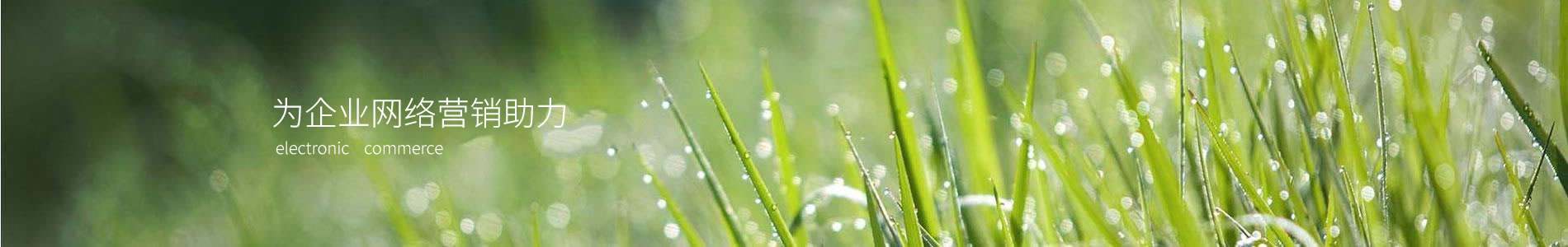 ое豸޹˾
